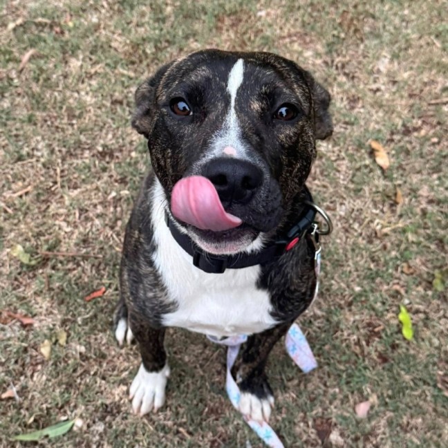 Photo of Betsy