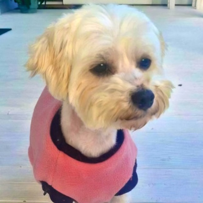Photo of Mia