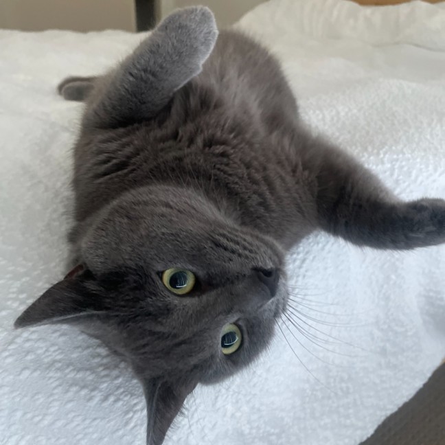Photo of Catmandu