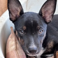 Photo of Slider