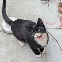 Photo of Michael Teddy 