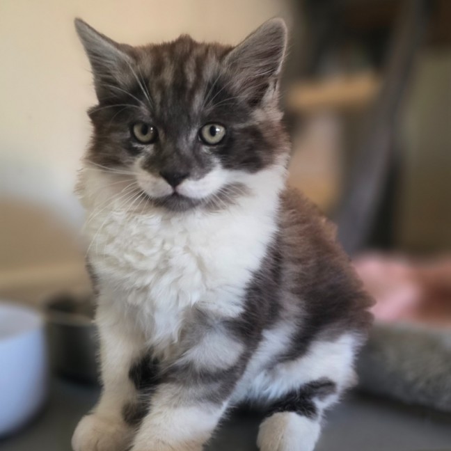 Photo of Hugo