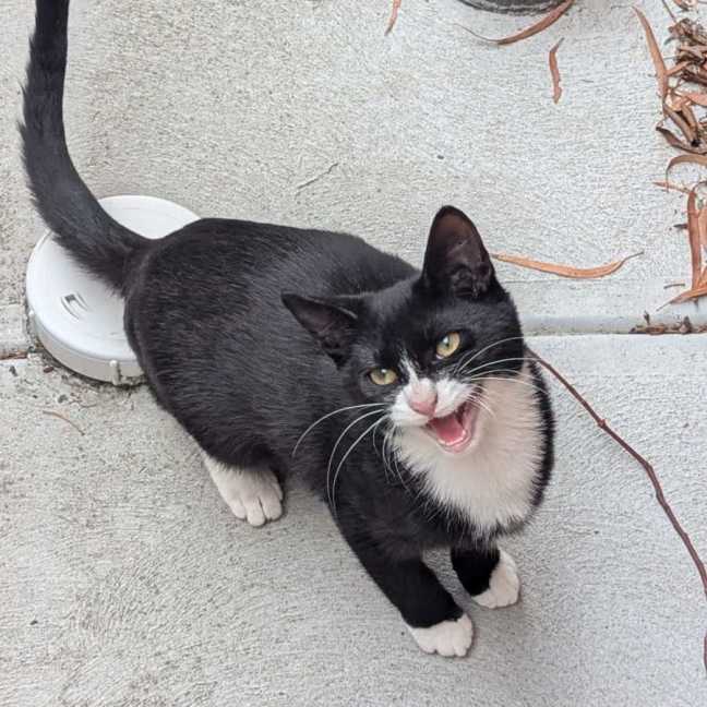 Photo of Michael Teddy 