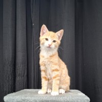 Photo of Tristan