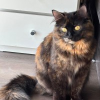 Photo of Hazel