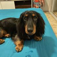 Photo of Bailey And Bentley