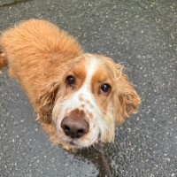 Photo of Ted