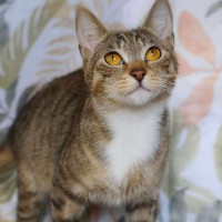 Photo of Daisy & Momo @ Pe Tstock Prahran!