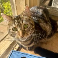 Photo of 🐭 Frankie🐭 