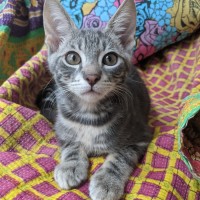 Photo of Poco
