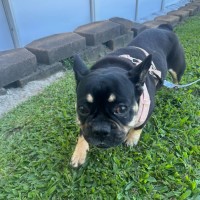 Photo of Cosmo