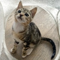 Photo of Maddox & Maverick