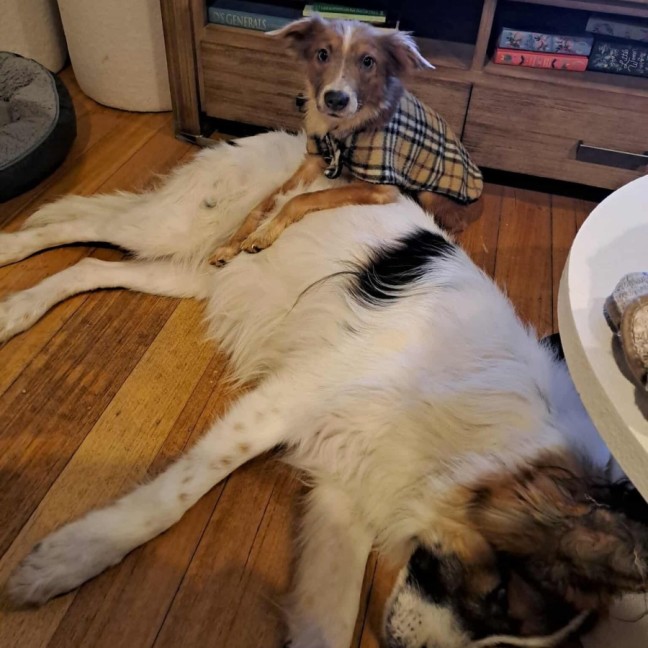 Photo of Puzzle
