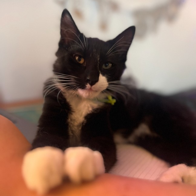 Photo of Dennis & Dot 