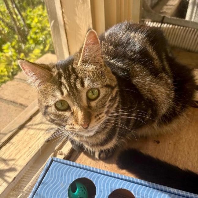 Photo of 🐭 Frankie🐭 