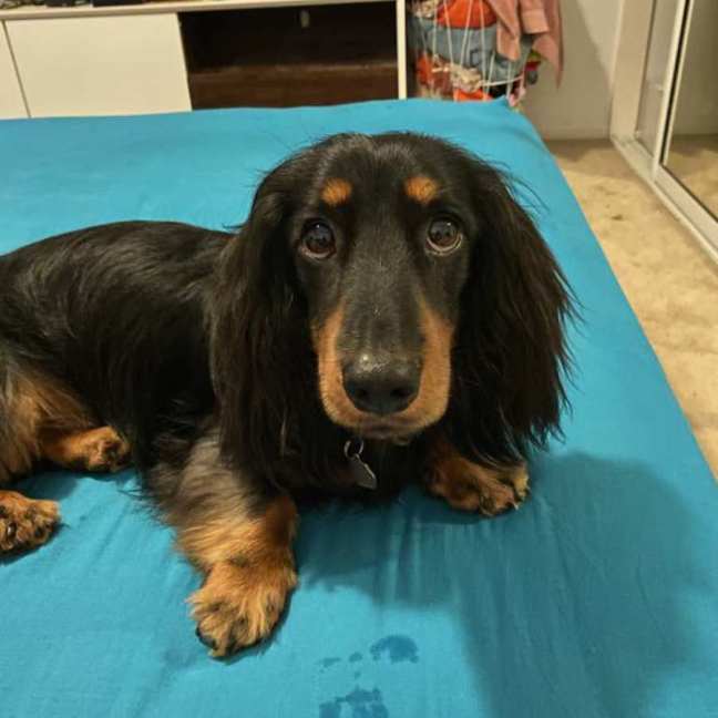 Photo of Bailey And Bentley