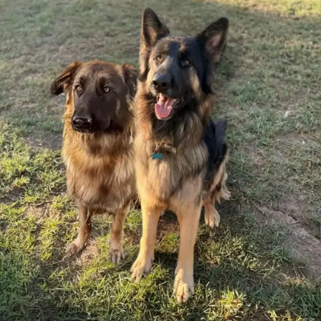 Photo of Kozzie And Boof