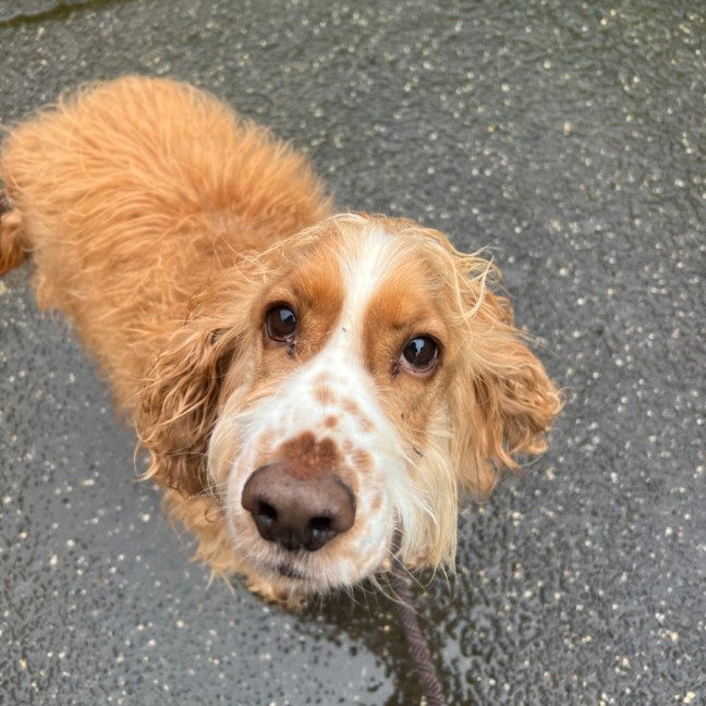 Photo of Ted