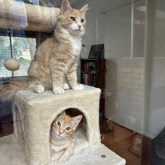 Photo of Fred & George