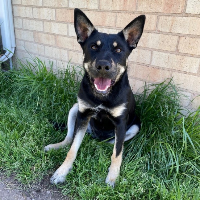 Photo of Bess