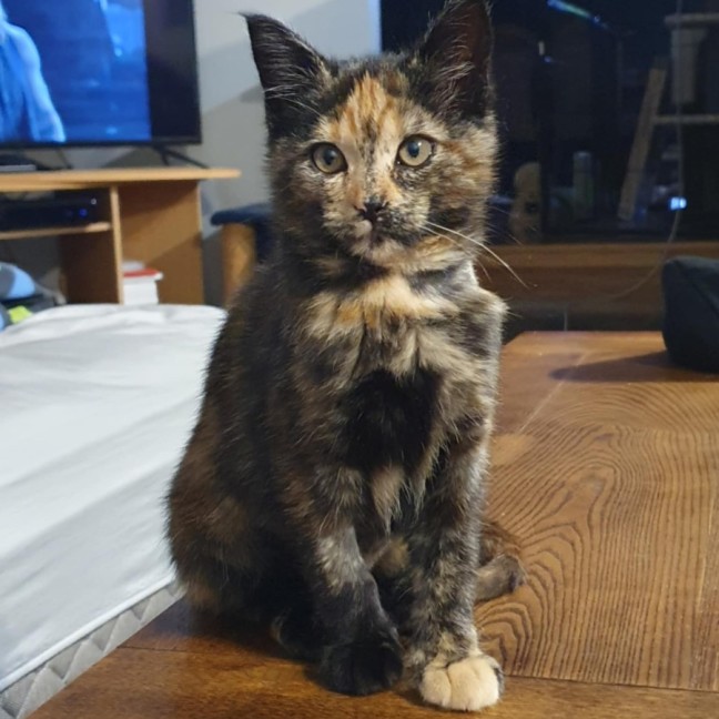 Photo of Blanch 🌸