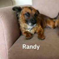 Photo of Randy