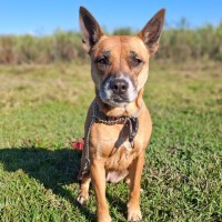 Photo of Lola
