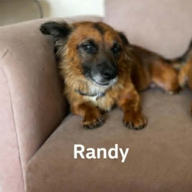 Photo of Randy
