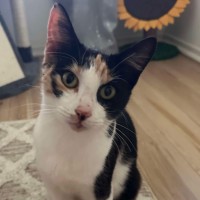Photo of Baby Girl