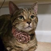 Photo of Mila