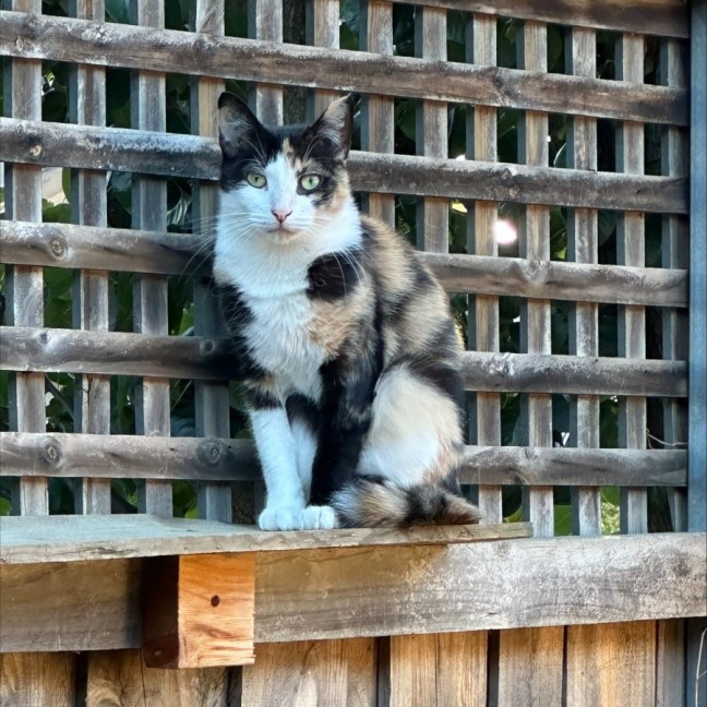 Photo of Maya & Morgan🌻🌼