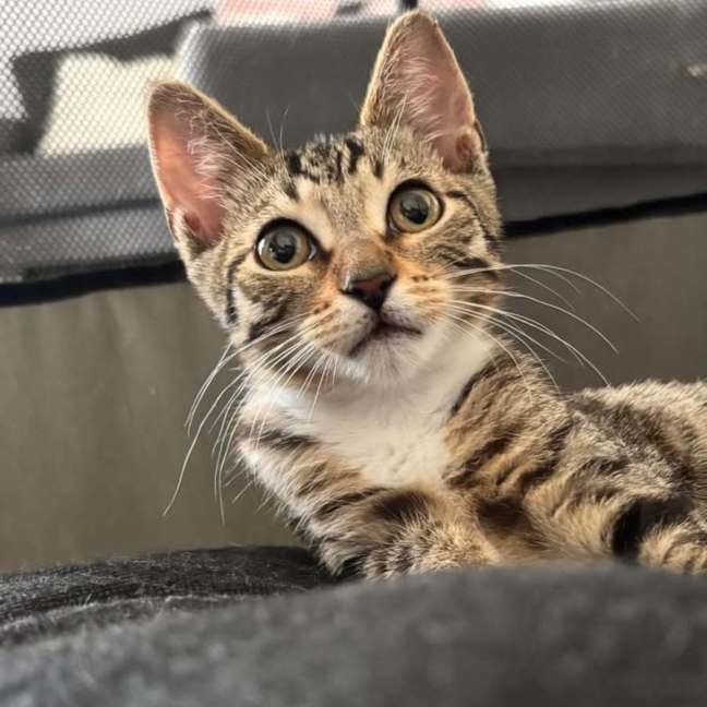 Photo of Taylor (Tay Tay)