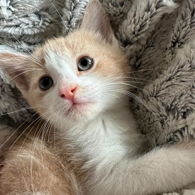Photo of Whoopsie