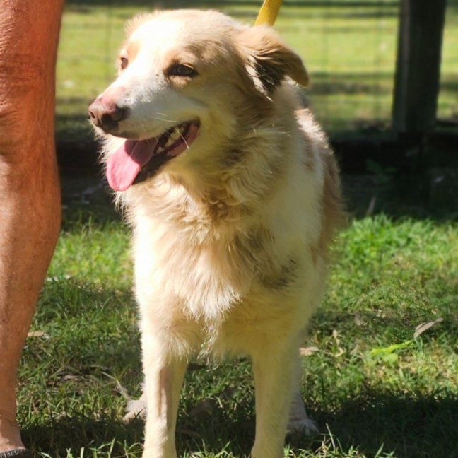 Photo of Jasper