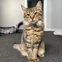 Photo of Totopo
