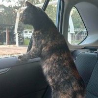 Photo of Delilah