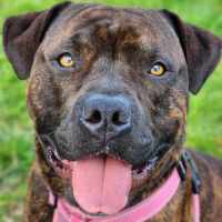 Photo of 🍃 Miguel 5402 🍃