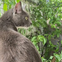 Photo of Holly