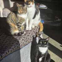 Photo of Lotus & Sage