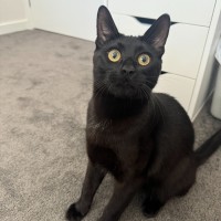 Photo of Jack   Located In Cranbourne