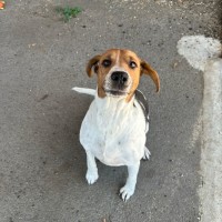 Photo of Missy