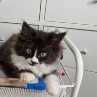 Photo of Mumbo