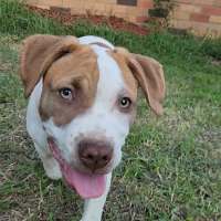 Photo of Bert & Ernie