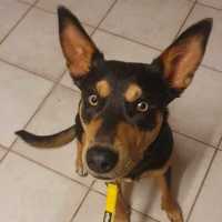 Photo of Taco