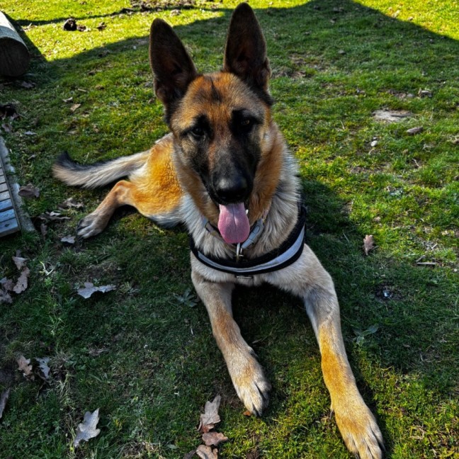 Photo of Zora