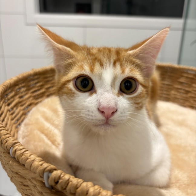 Photo of 🧡Reito🧡