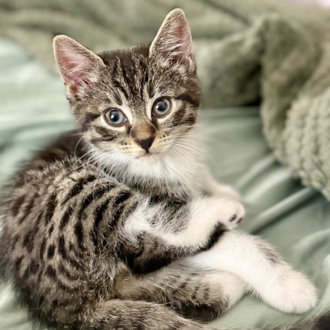 Photo of Gandalf And Florence