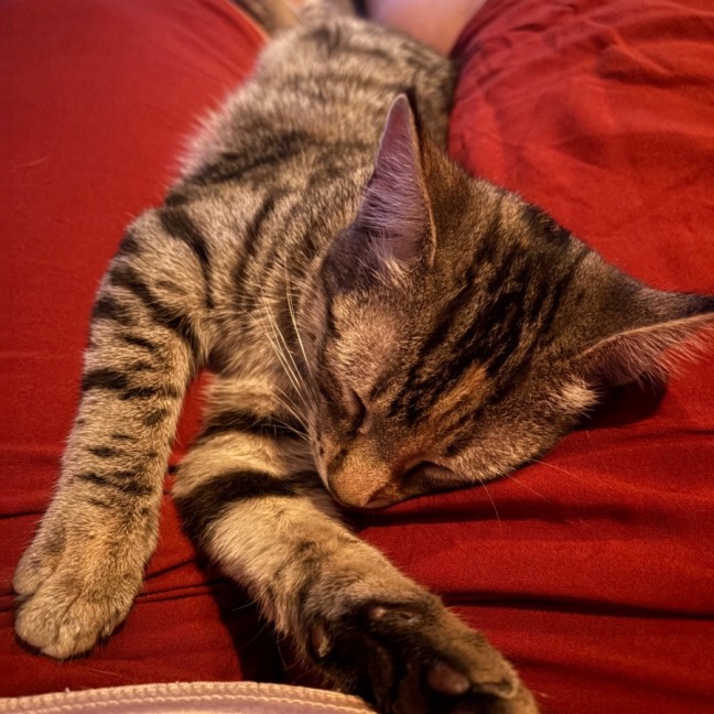 Photo of Lucy