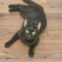 Photo of Betty🎶🎶❤️