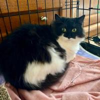 Photo of 🐭 Hetti 🐭 